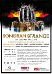 Sonoran Strange @ The Icehouse | Phoenix | Arizona | United States